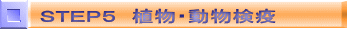 rsdoT@AEu